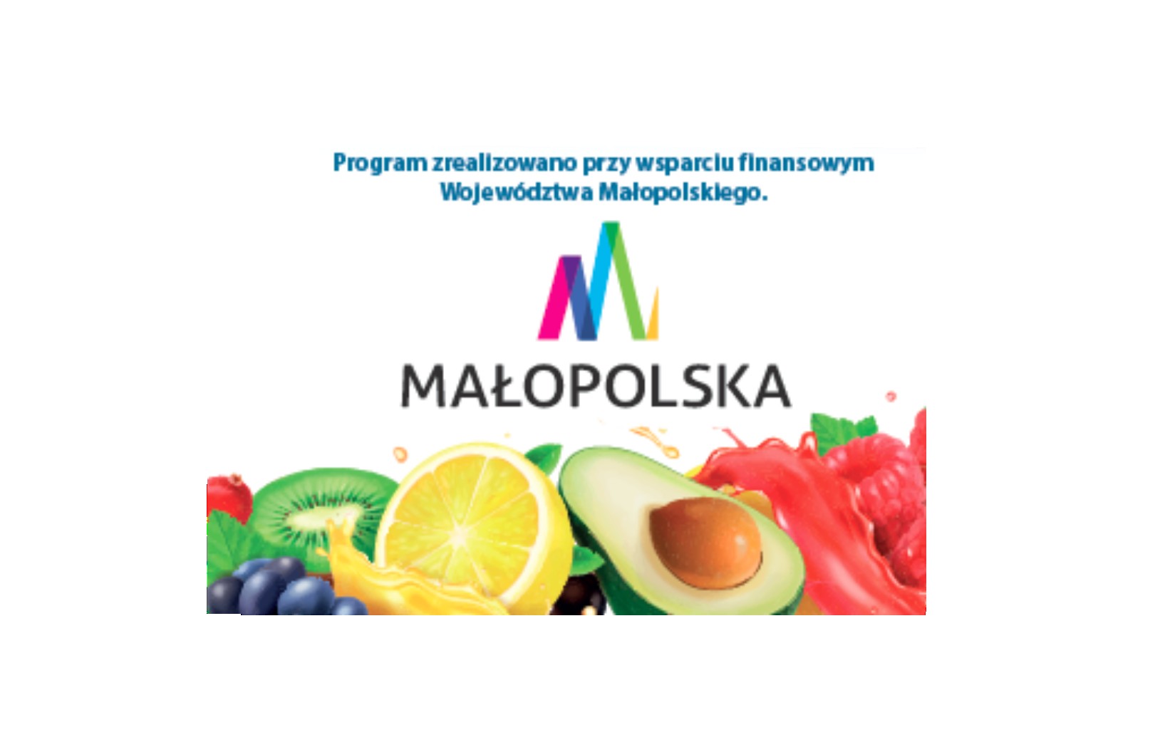 plakat "program zrealizowano przy wsparciu finansowym Województwa Małopolskiego"