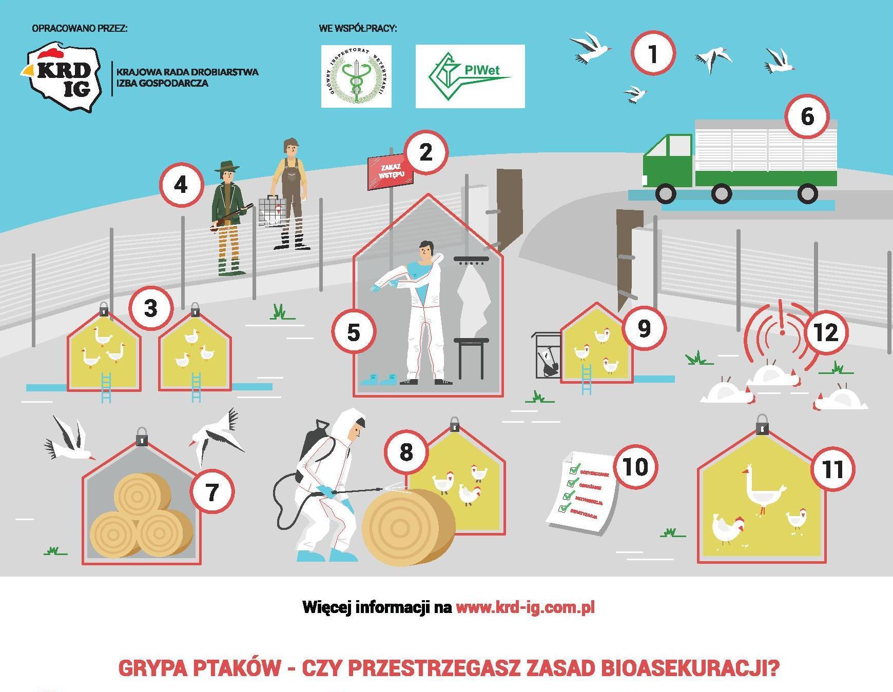 plakat z opisem postępowania przeciwko grypie ptaków